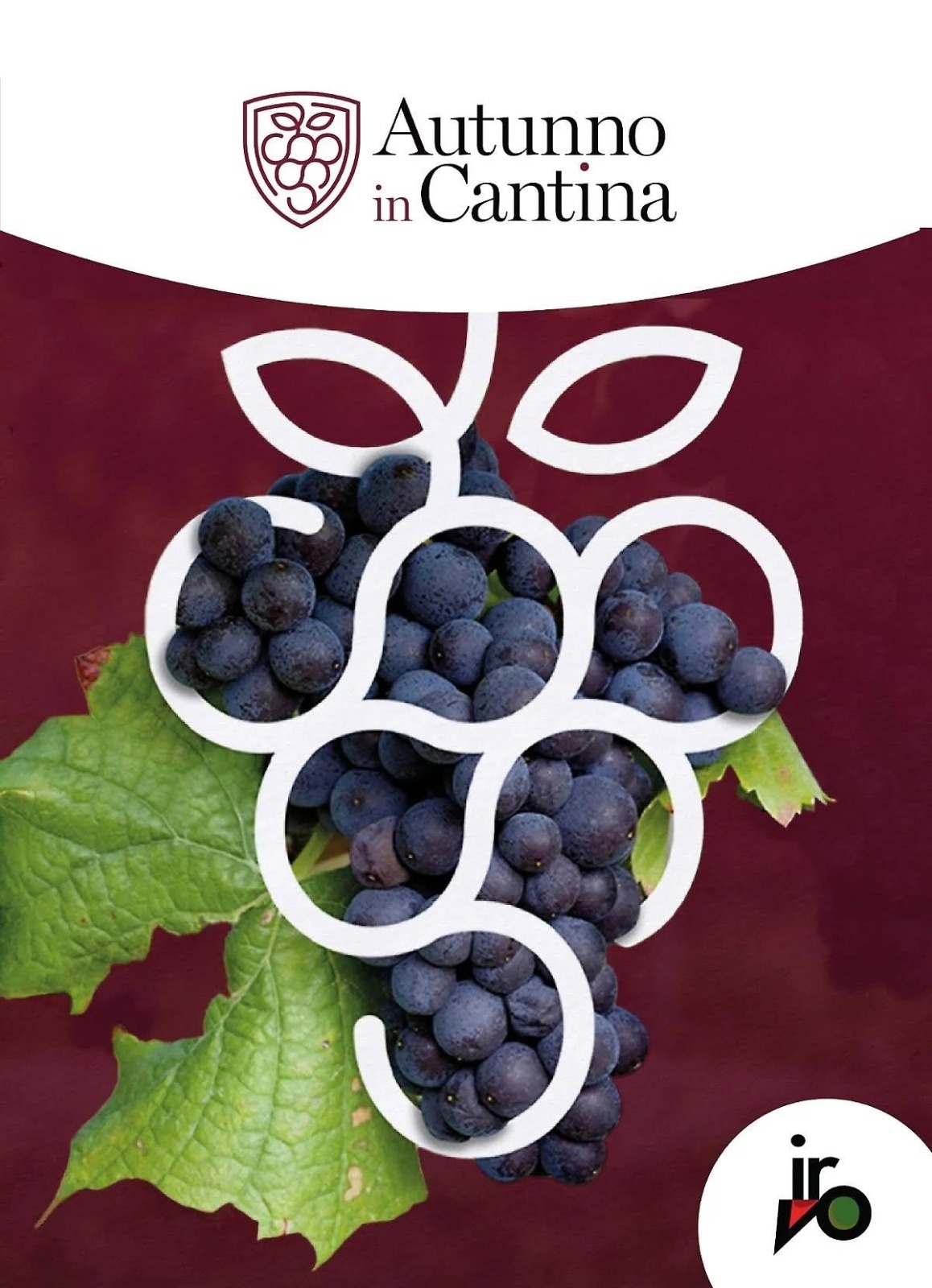 Autunno in Cantina